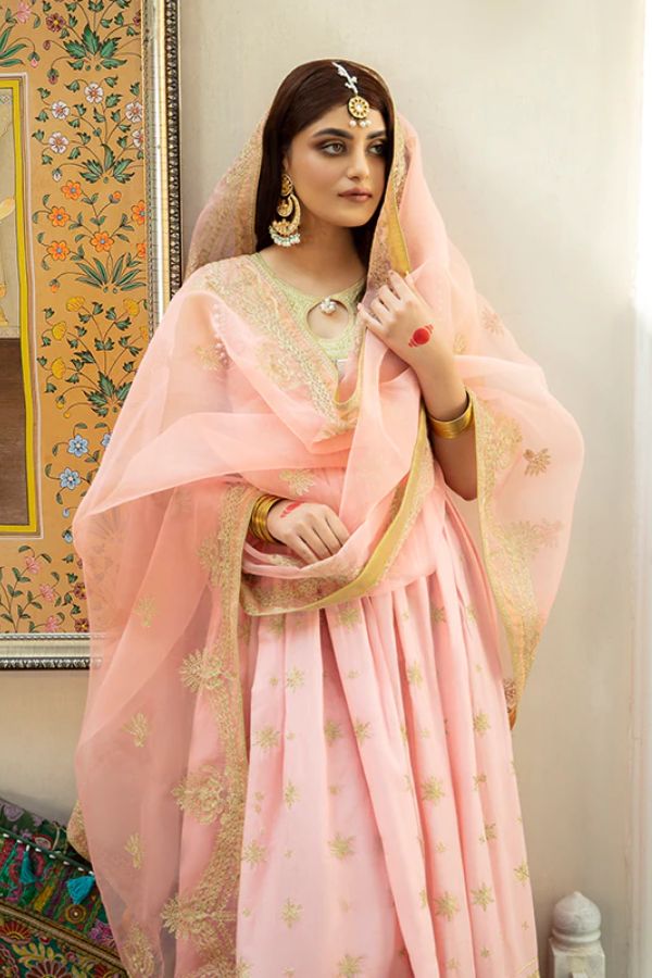 Bin Ilyas Luxury Lawn'22 D3-B