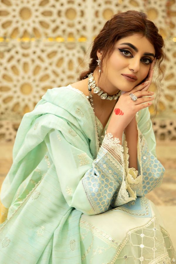 Bin Ilyas Luxury Lawn'22 D5-B
