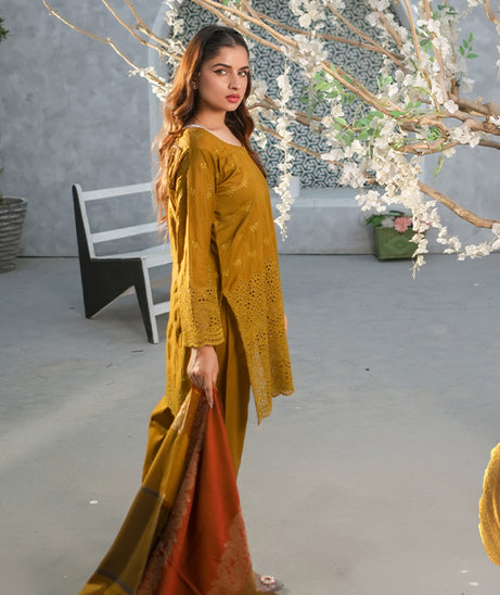 Bin Shahid Rang-E-Ronak Lawn`25 D#06