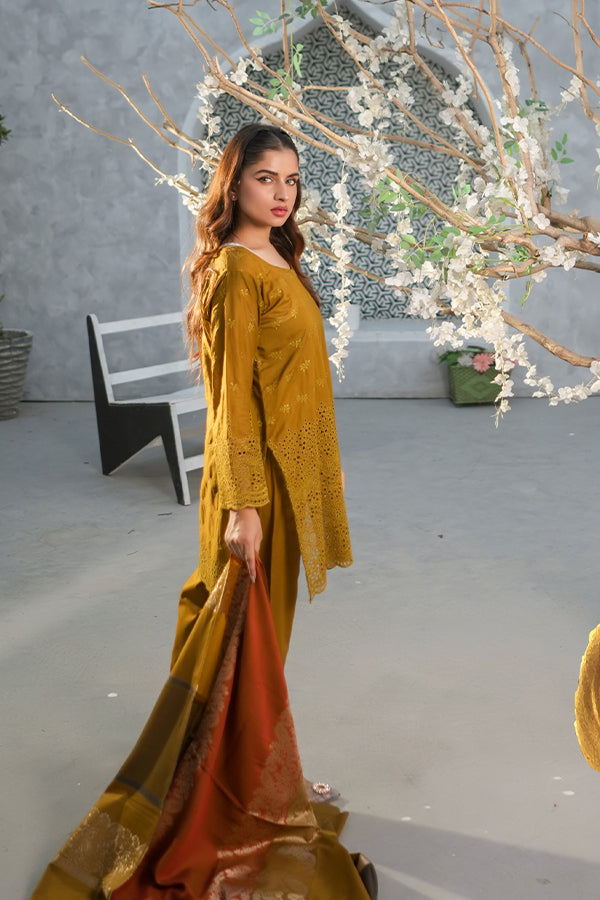 Bin Shahid Rang-E-Ronak Lawn`25 D#06