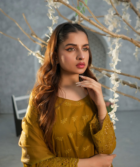 Bin Shahid Rang-E-Ronak Lawn`25 D#06