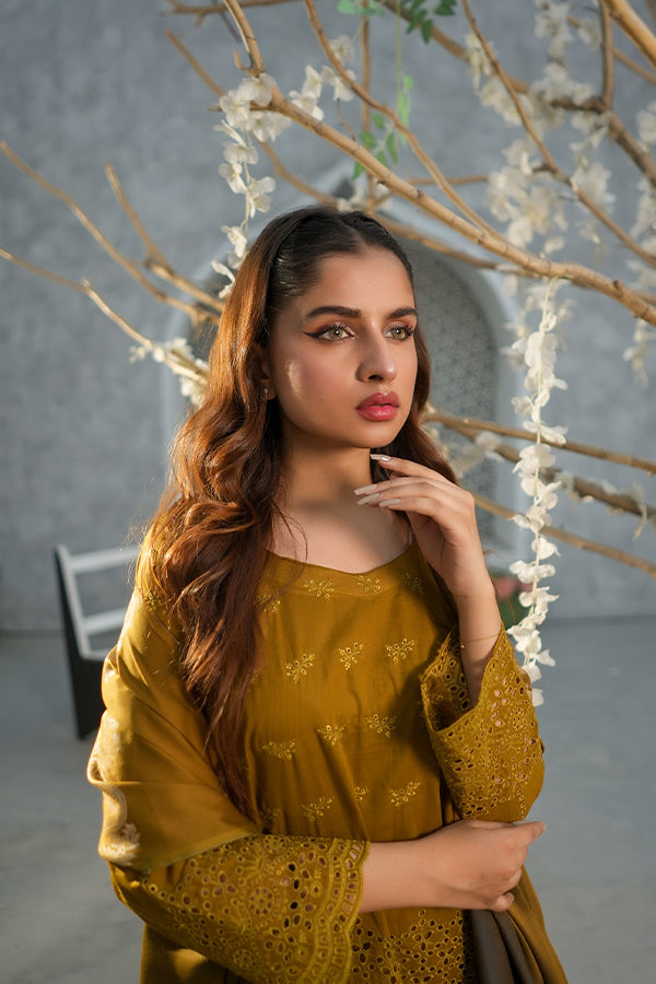 Bin Shahid Rang-E-Ronak Lawn`25 D#06