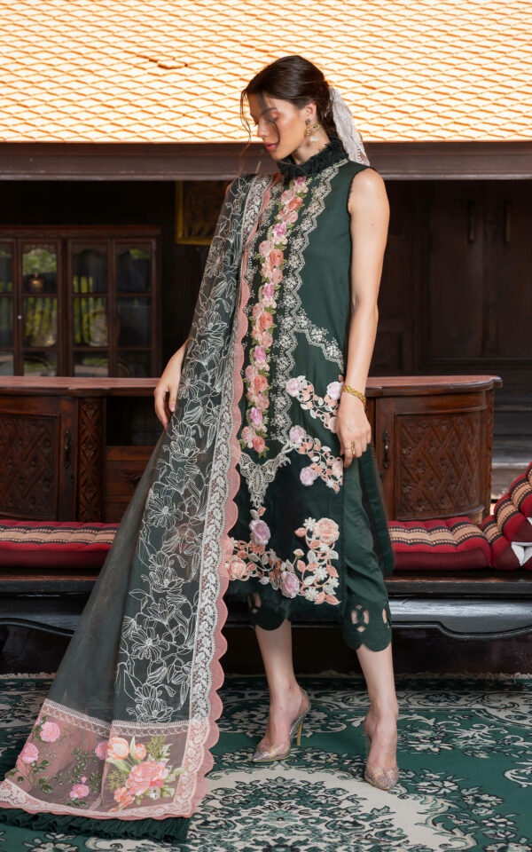 Asifa & Nabeel Luxury Lawn'24 D#03