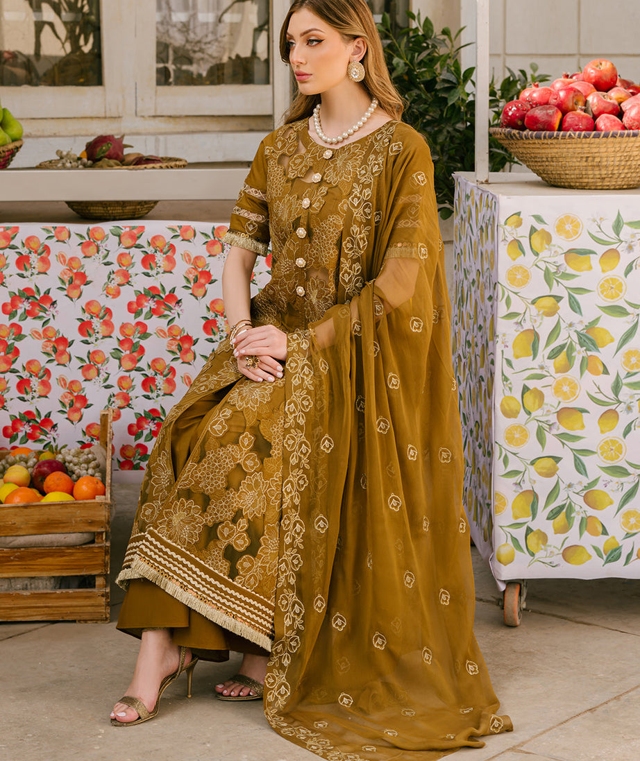 Mahnur Mahrukh Lawn'24 V#2 D#4