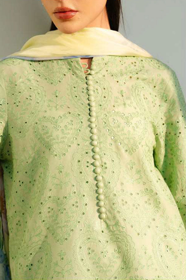 Coco by Zara Shahjahan Lawn`25 D#3-B