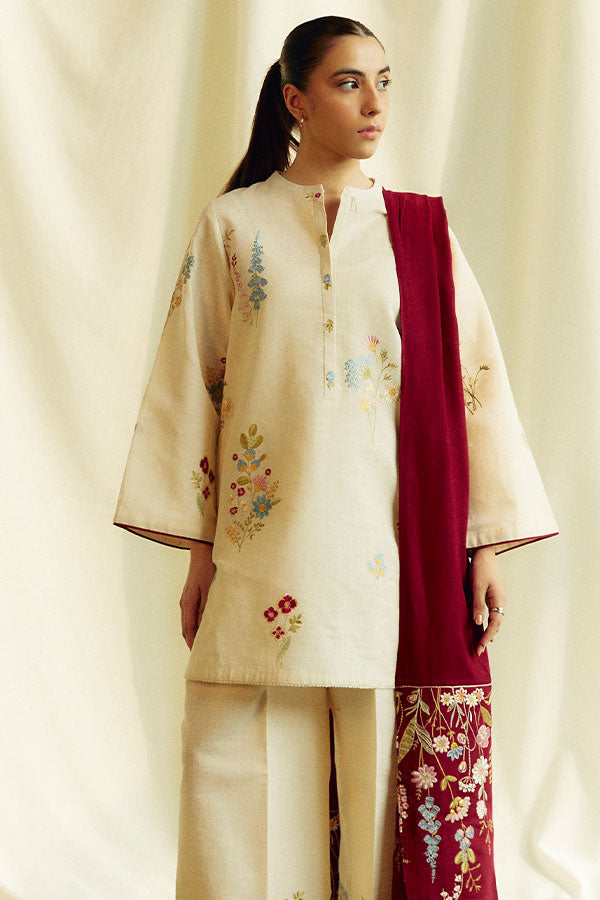 Coco By Zara Shahjahan Winter'24 D#2B