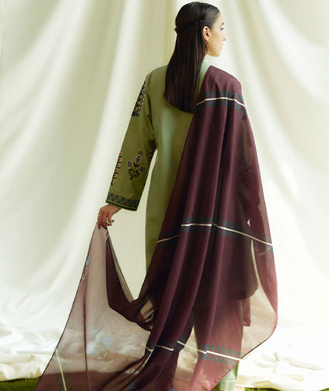 Coco By Zara Shahjahan Winter'24 D#3B