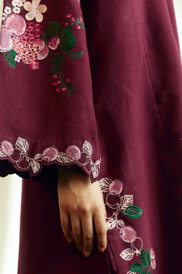 Coco By Zara Shahjahan Winter'24 D#6B