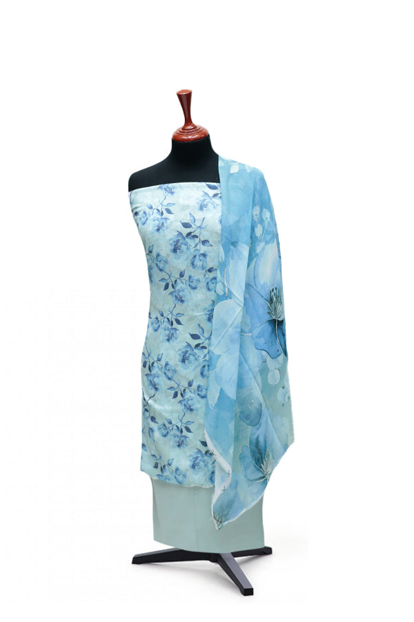 Colorita Digital Lawn`25 D#4851 (L Ferozi)