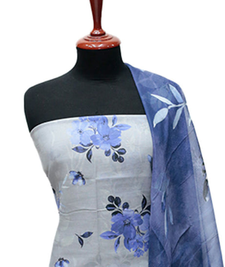 Colorita Digital Lawn`25 D#4852 (S Grey)