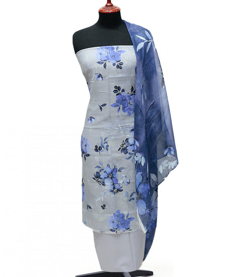Colorita Digital Lawn`25 D#4852 (S Grey)