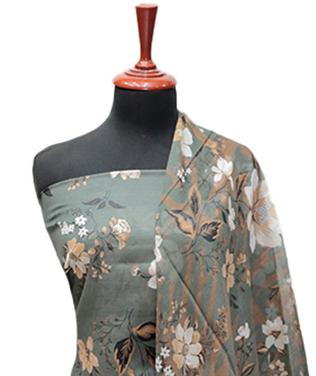 Colorita Digital Lawn`25 D#4857 (M Green)