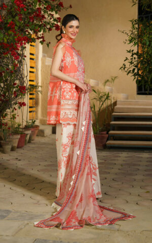 Asifa & Nabeel Meraki`24 Vol-1 DAHLIA