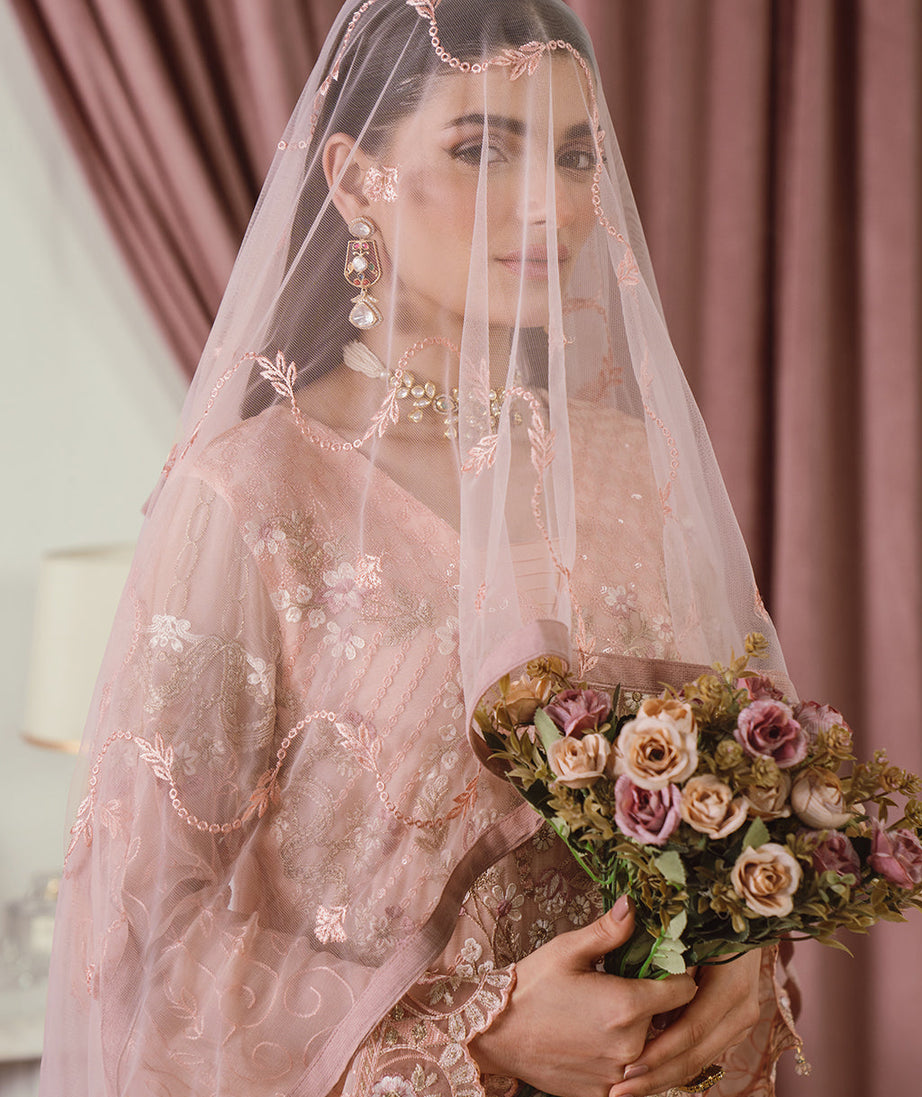 Ramsha Chiffon Collection`24 (Vol-25) F#2502