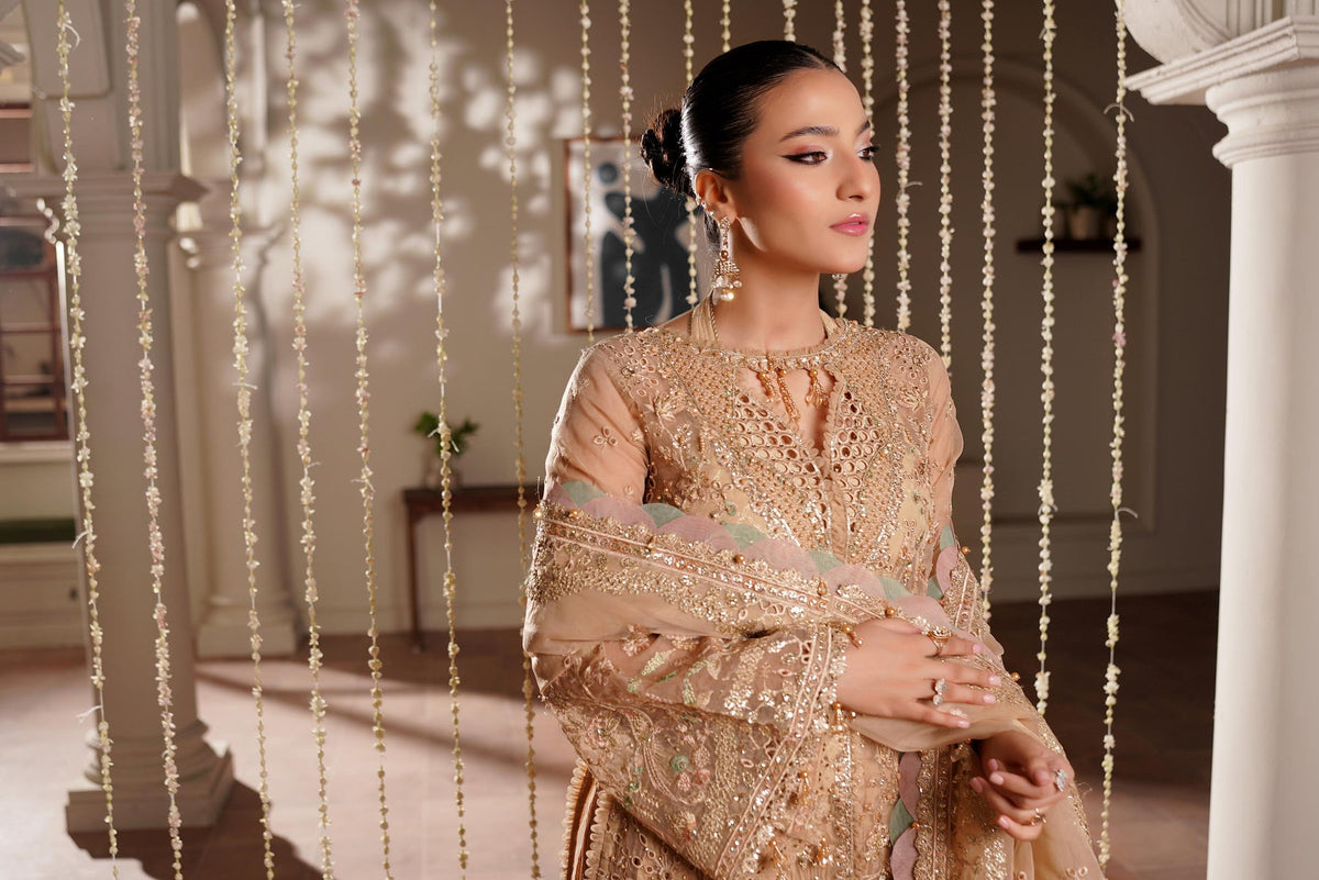 Maryam's Zeenat L/ Winter'26 V#2  D#1916