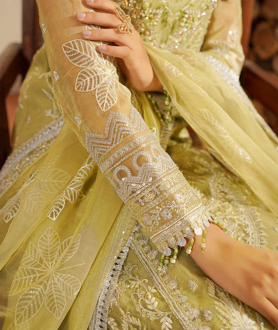 Maryam's Hayat Luxury'24 D#5004