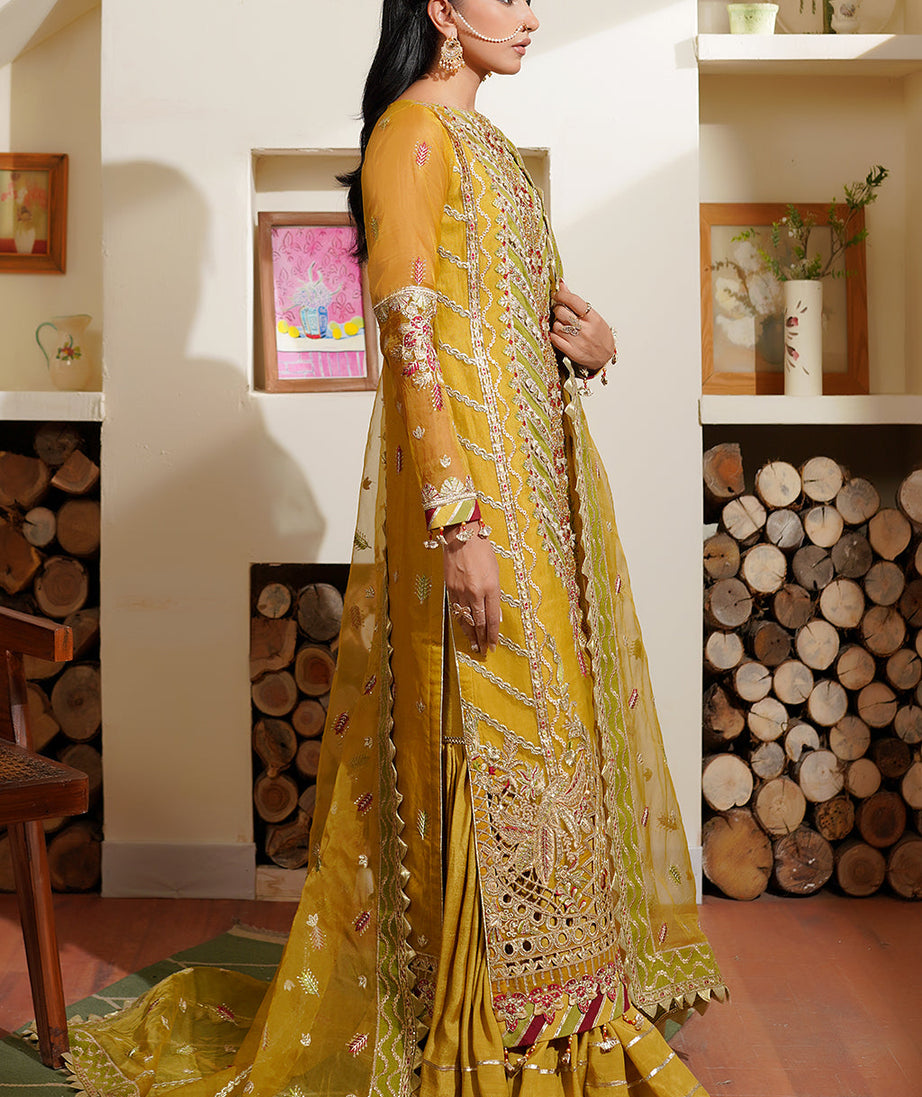 Maryam's Hayat Luxury'24 D#5002