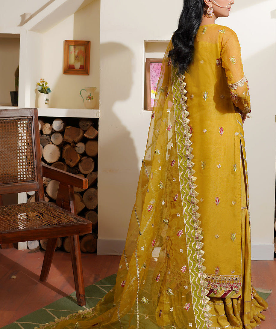 Maryam's Hayat Luxury'24 D#5002