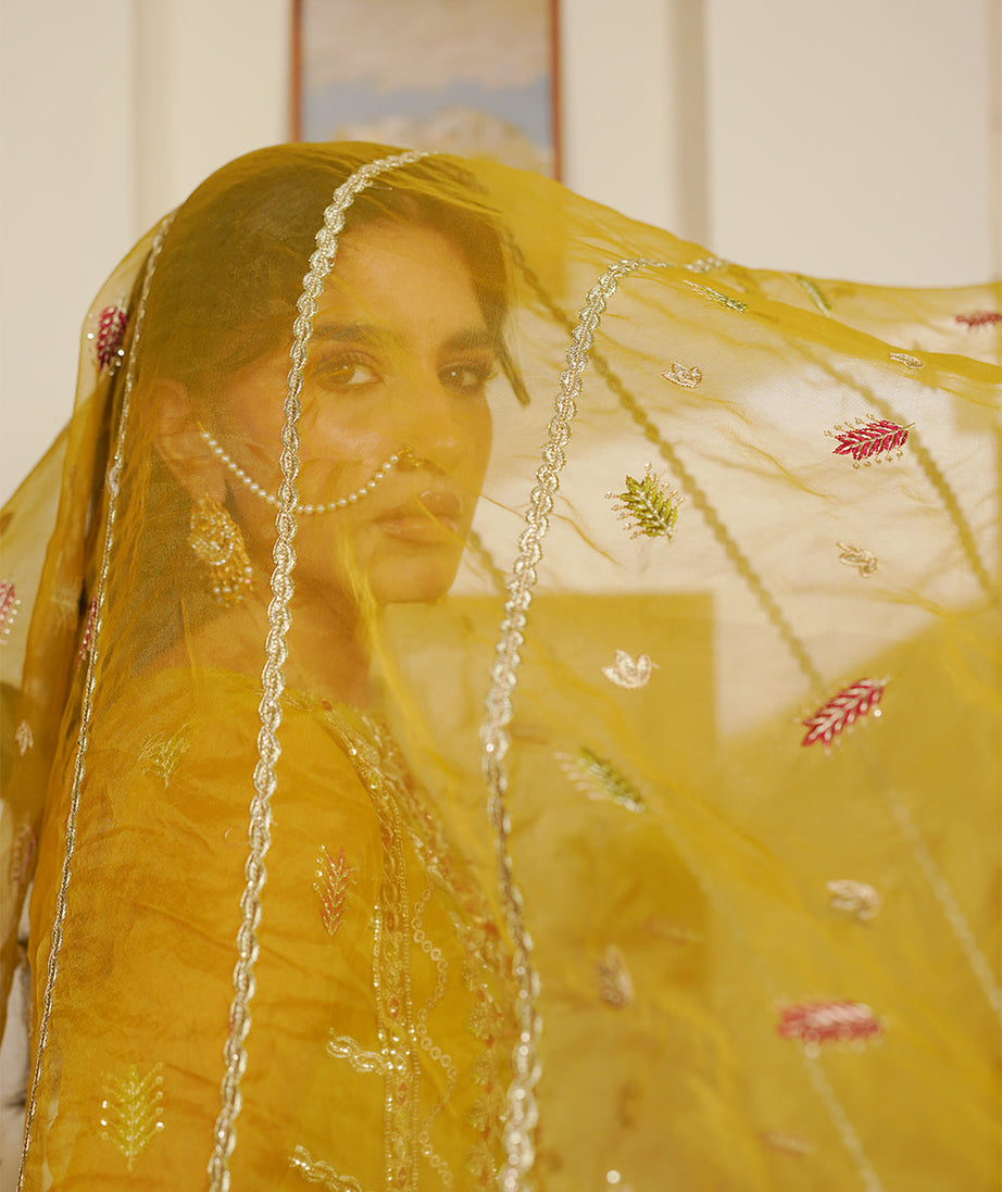Maryam's Hayat Luxury'24 D#5002