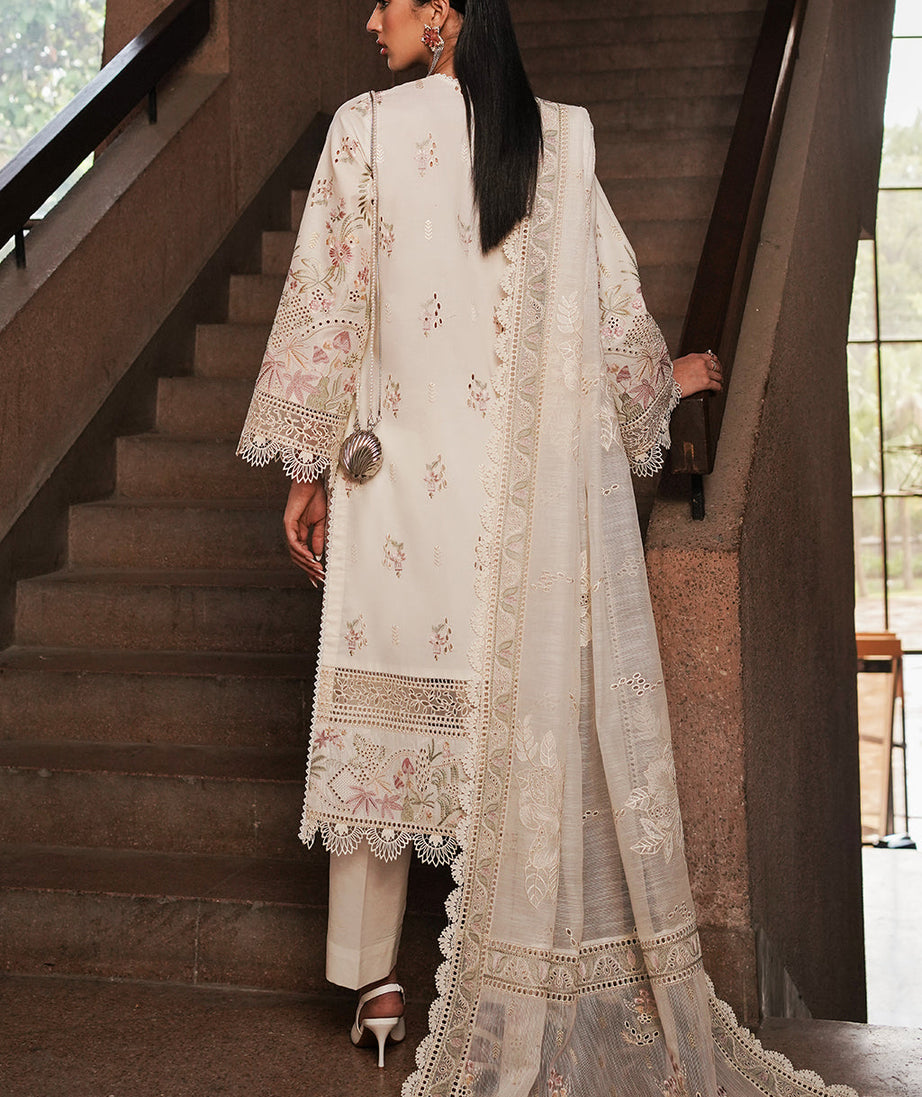 Afrozeh Festive C/Kari Lawn`24 D#08 Gypsum