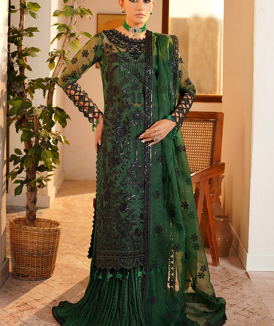 Maryam's Hayat Luxury'24 D#5009