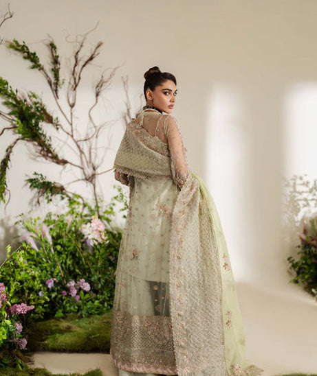 Zoya & Fatima Reem Festive'24 (Sania)