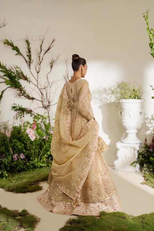 Zoya & Fatima Reem Festive'24 (Tania)