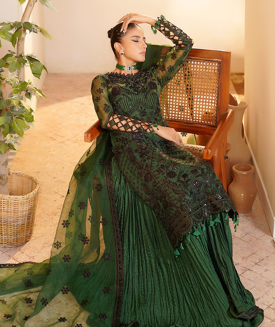 Maryam's Hayat Luxury'24 D#5009