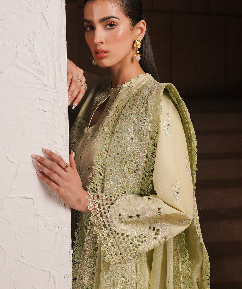 Afrozeh Festive C/Kari Lawn`24 D#02 Kelly