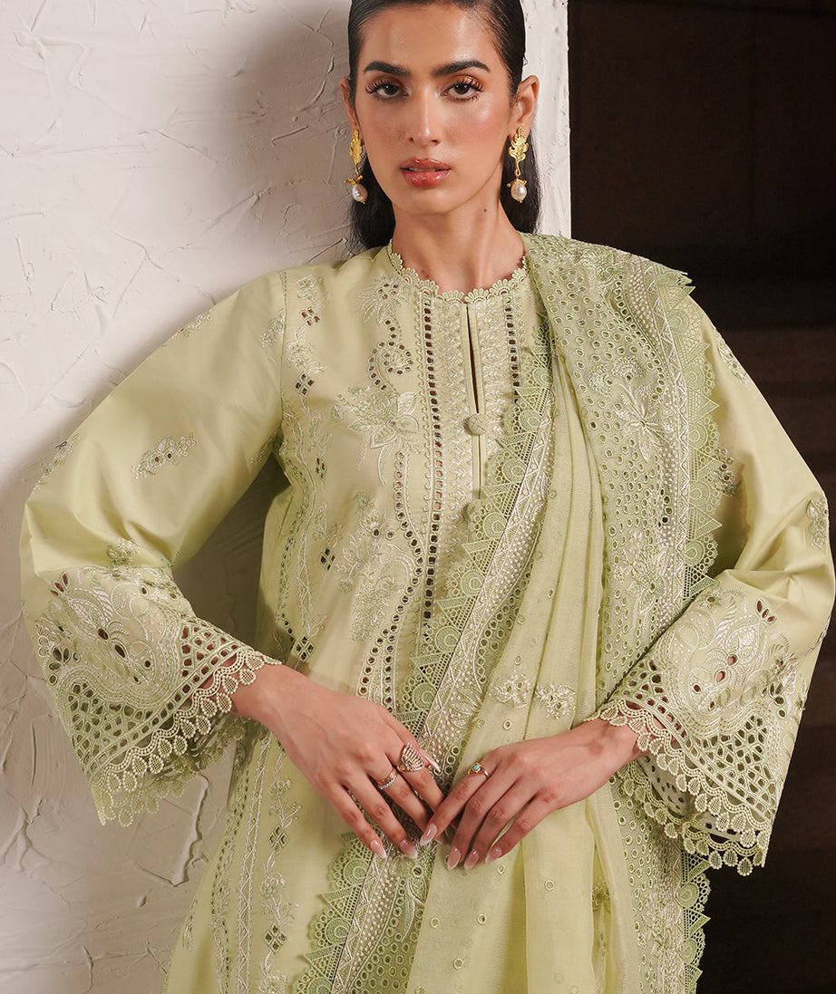 Afrozeh Festive C/Kari Lawn`24 D#02 Kelly