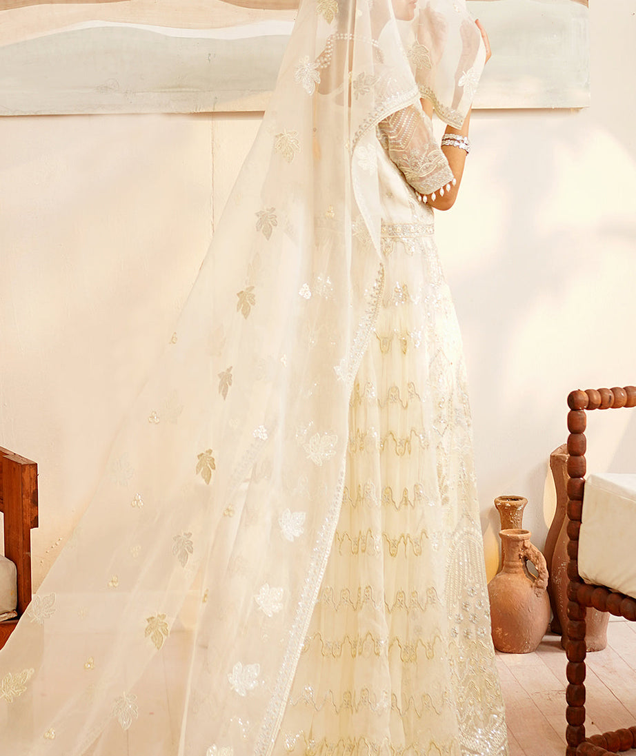 Maryam's Hayat Luxury'24 D#5006