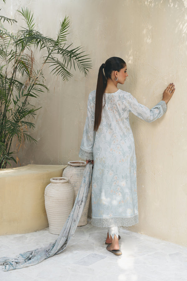 Aabyaan Shezlin C/Kari Lawn`25 AF#04