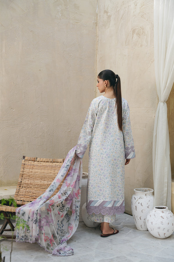 Aabyaan Shezlin C/Kari Lawn`25 AF#02