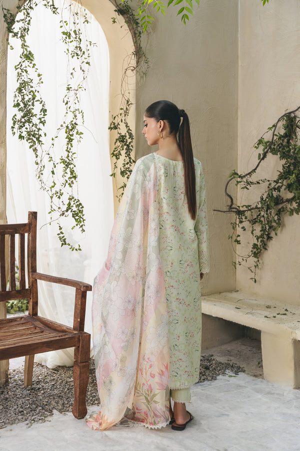 Aabyaan Shezlin C/Kari Lawn`25 AF#07