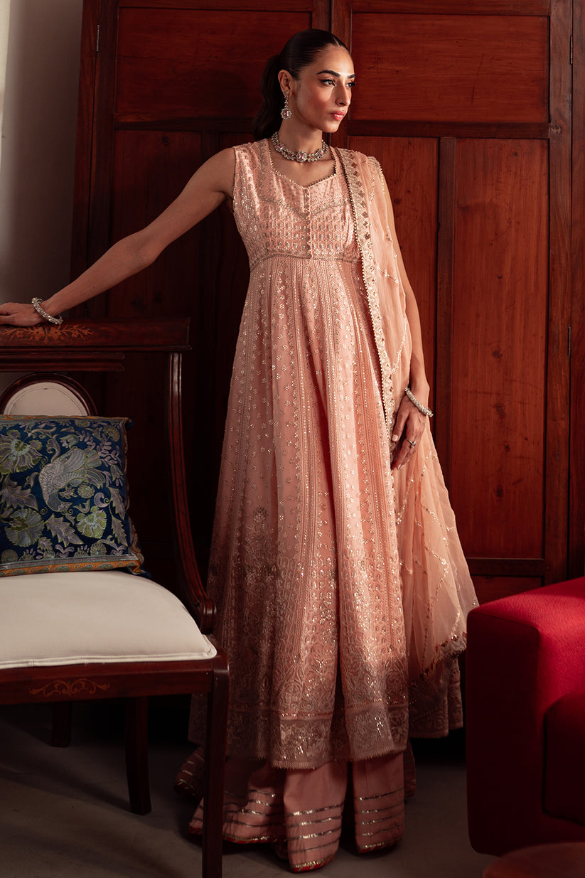 Neeshay Dastan L/Chiffon'24 (Mehrbano)