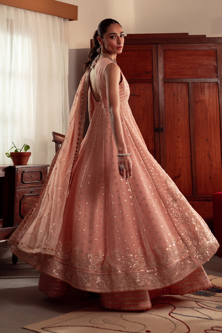 Neeshay Dastan L/Chiffon'24 (Mehrbano)