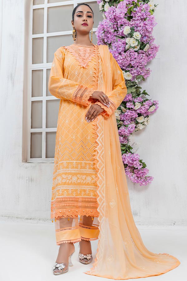 Dor Meena Kari Lawn`24 D#03