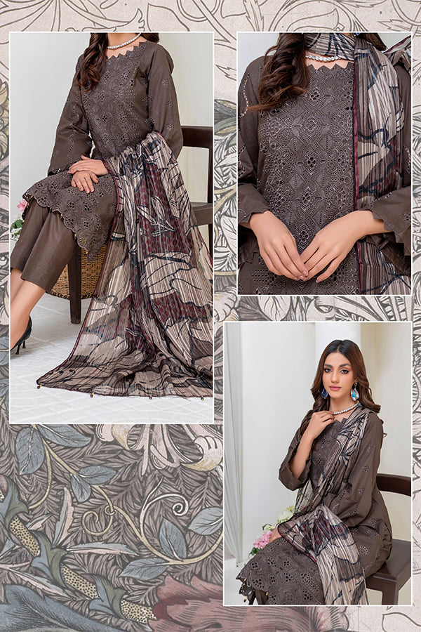Dor Naqsh C/Kari Lawn`24 DNQH#04