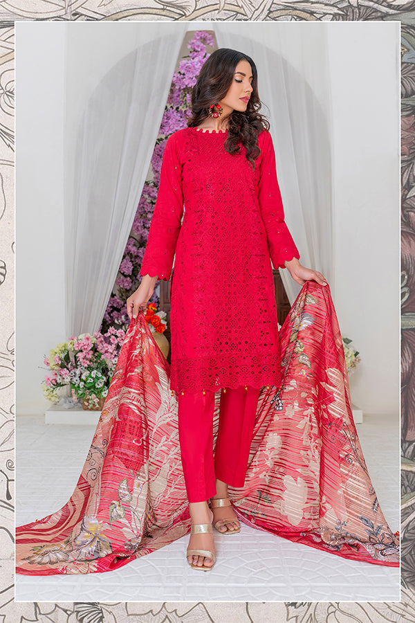 Dor Naqsh C/Kari Lawn`24 DNQH#09