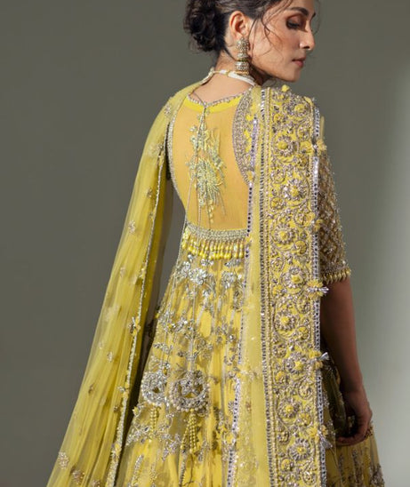 Elan Wedding Festive`24 EC#03 LIME BLOSSOM
