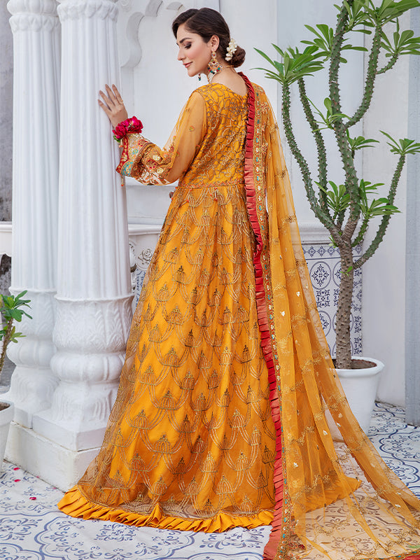 Farmaish Collection By Zebtan`22 D#8