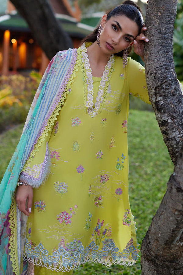 Farah Talib Aziz Lawn'2024 D#09