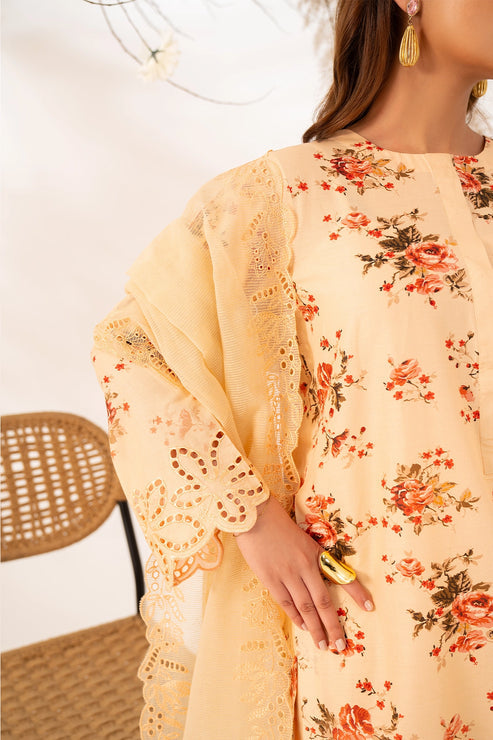 Rashid Florin Emb Lawn'26 D#562