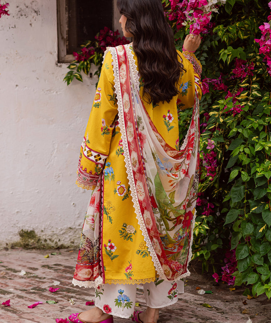 Mahnur Gulzar Winter`25 G#12