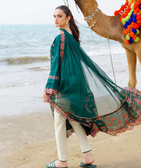 Aabyaan Saagar L/Lawn'24 D#10 NOORA