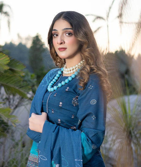 Gul-E-Bagh Emb Lawn`25 D # 10