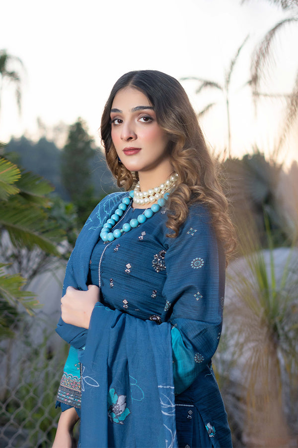 Gul-E-Bagh Emb Lawn`25 D # 10