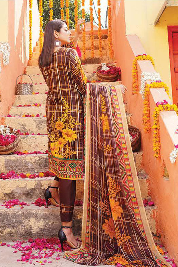 Gul-e-Jaan P/Lawn`22 D#1818 CH Brown