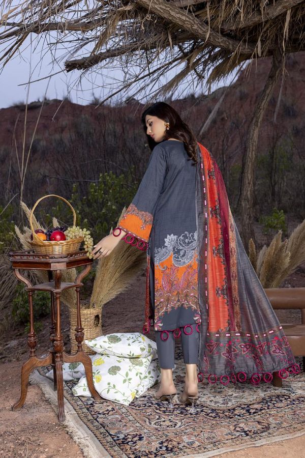 Gull Rukh Daman Chikankari`22 Grey