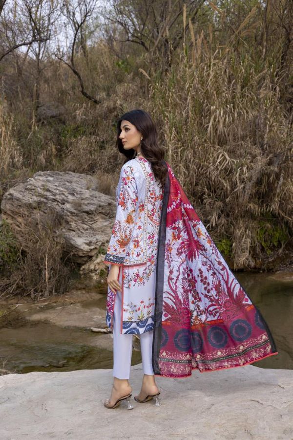 Gull Rukh Daman Chikankari`22 Sky Blue